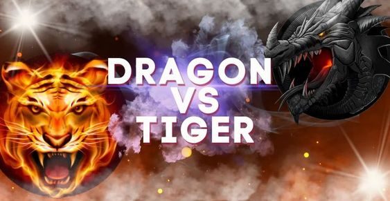 Dragon vs tiger new look